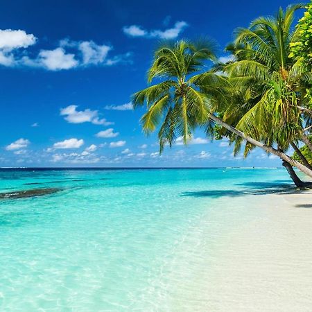 Отель Equa Reef Maldives Атолл Адду Экстерьер фото