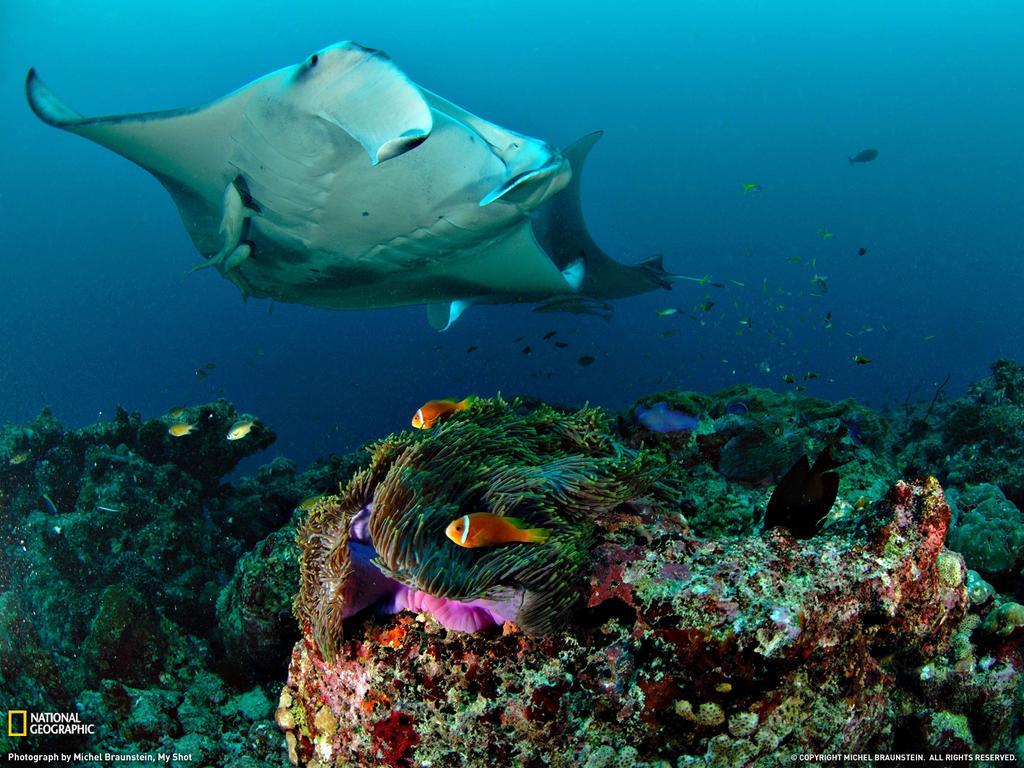 Отель Equa Reef Maldives Атолл Адду Экстерьер фото