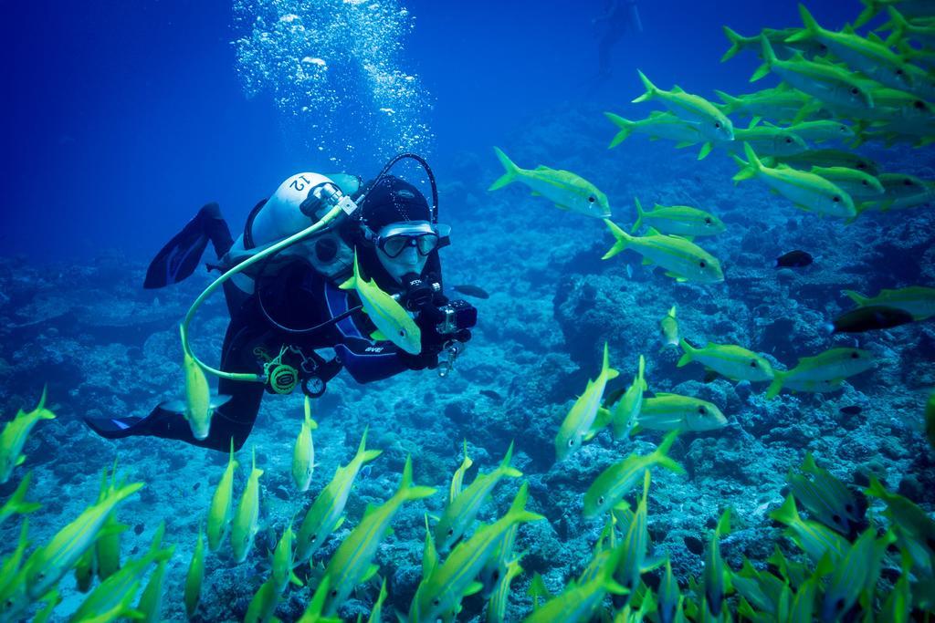 Отель Equa Reef Maldives Атолл Адду Экстерьер фото