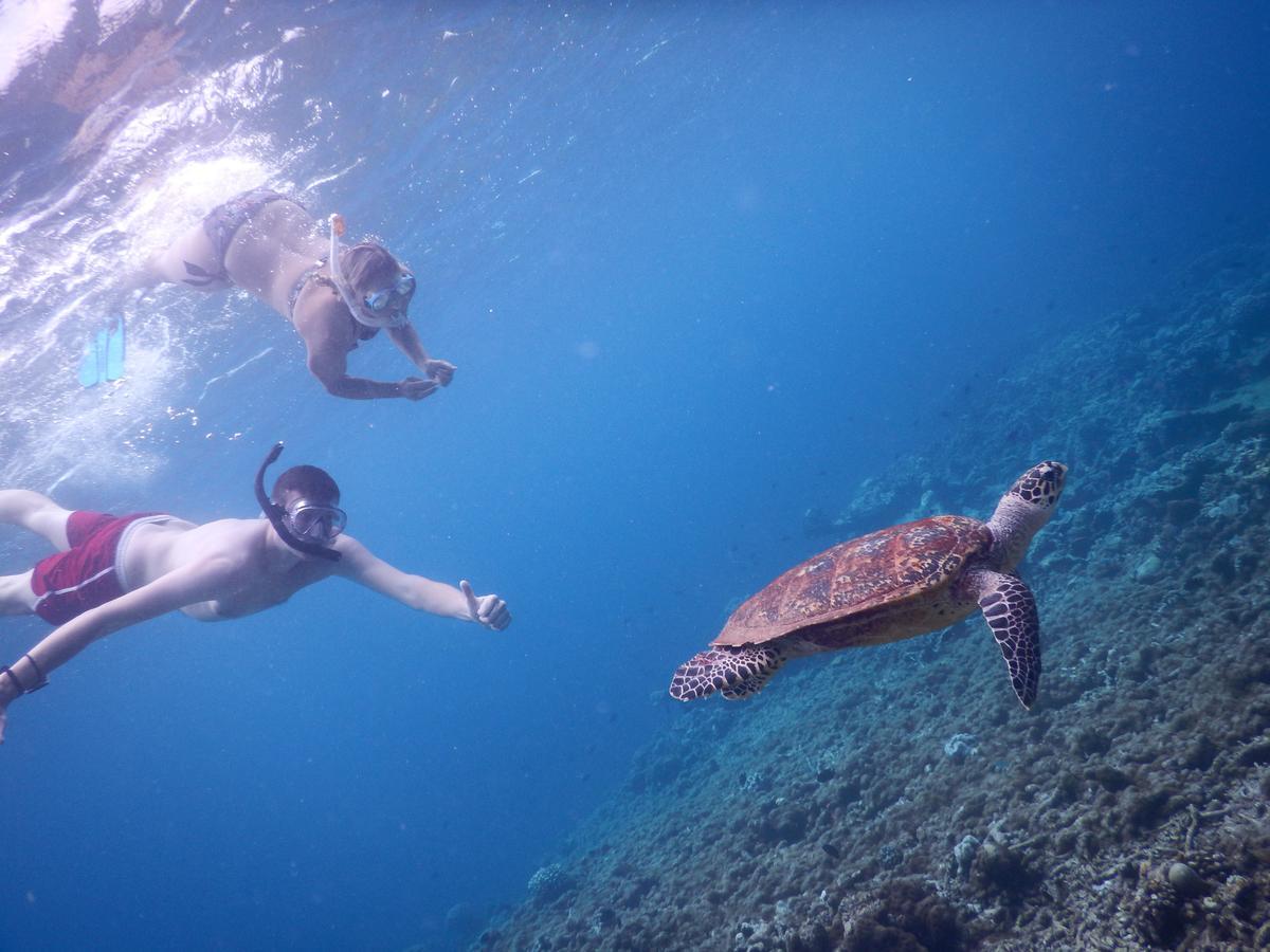 Отель Equa Reef Maldives Атолл Адду Экстерьер фото