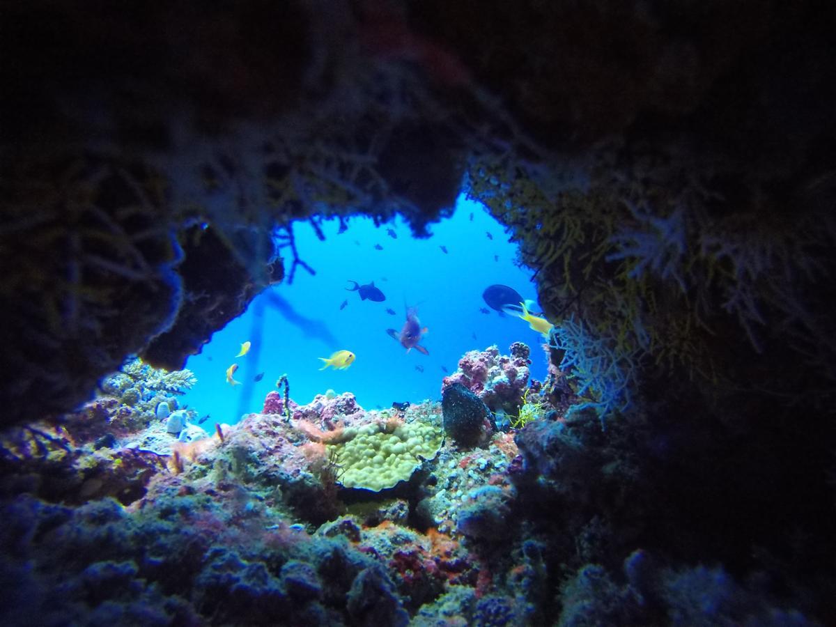 Отель Equa Reef Maldives Атолл Адду Экстерьер фото