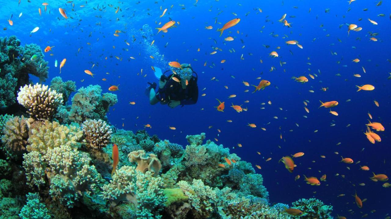 Отель Equa Reef Maldives Атолл Адду Экстерьер фото